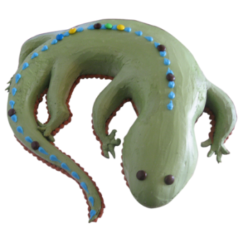 Lizard